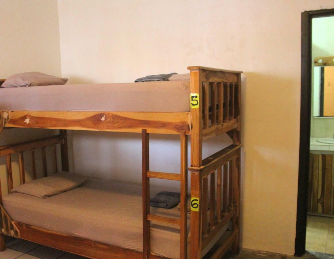 بيت شباب Casa Areka مدينة باناما المظهر الخارجي الصورة